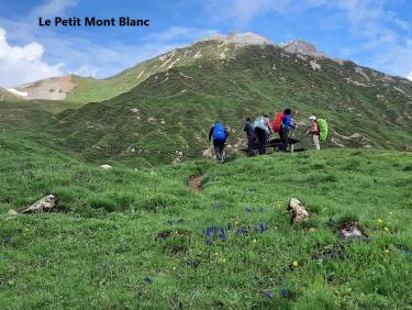 Petit Mont Blanc2 - Copie