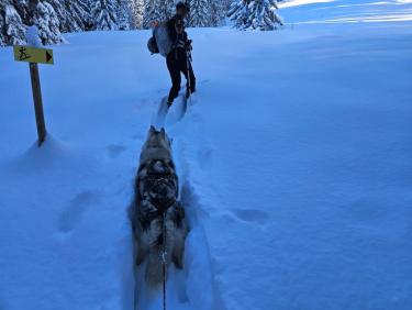 SKIMO 3 : Quand Cathie fait la trace dans 60 cm de poudre aux Communailles