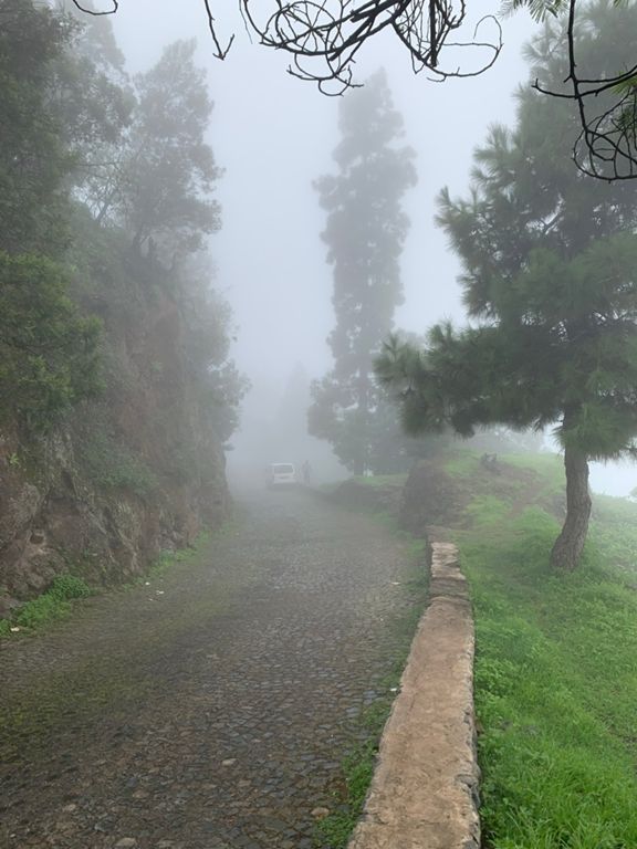 Village Cova - Ribeira Grande