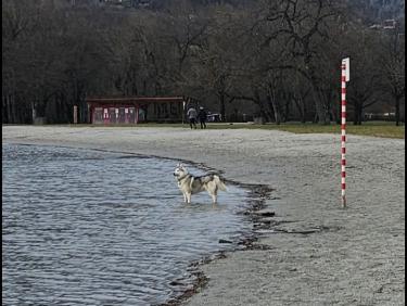 Tour du lac de Passy avec Nanouk