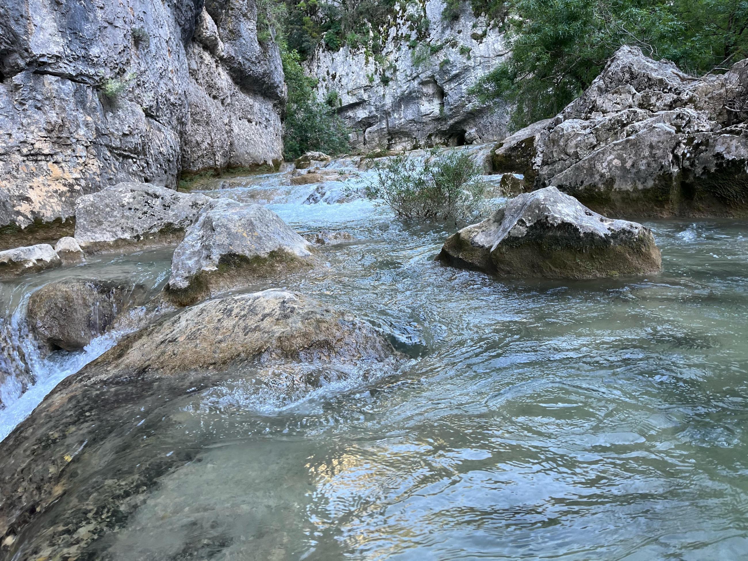 ravin des arcs gorges de l’Hérault 