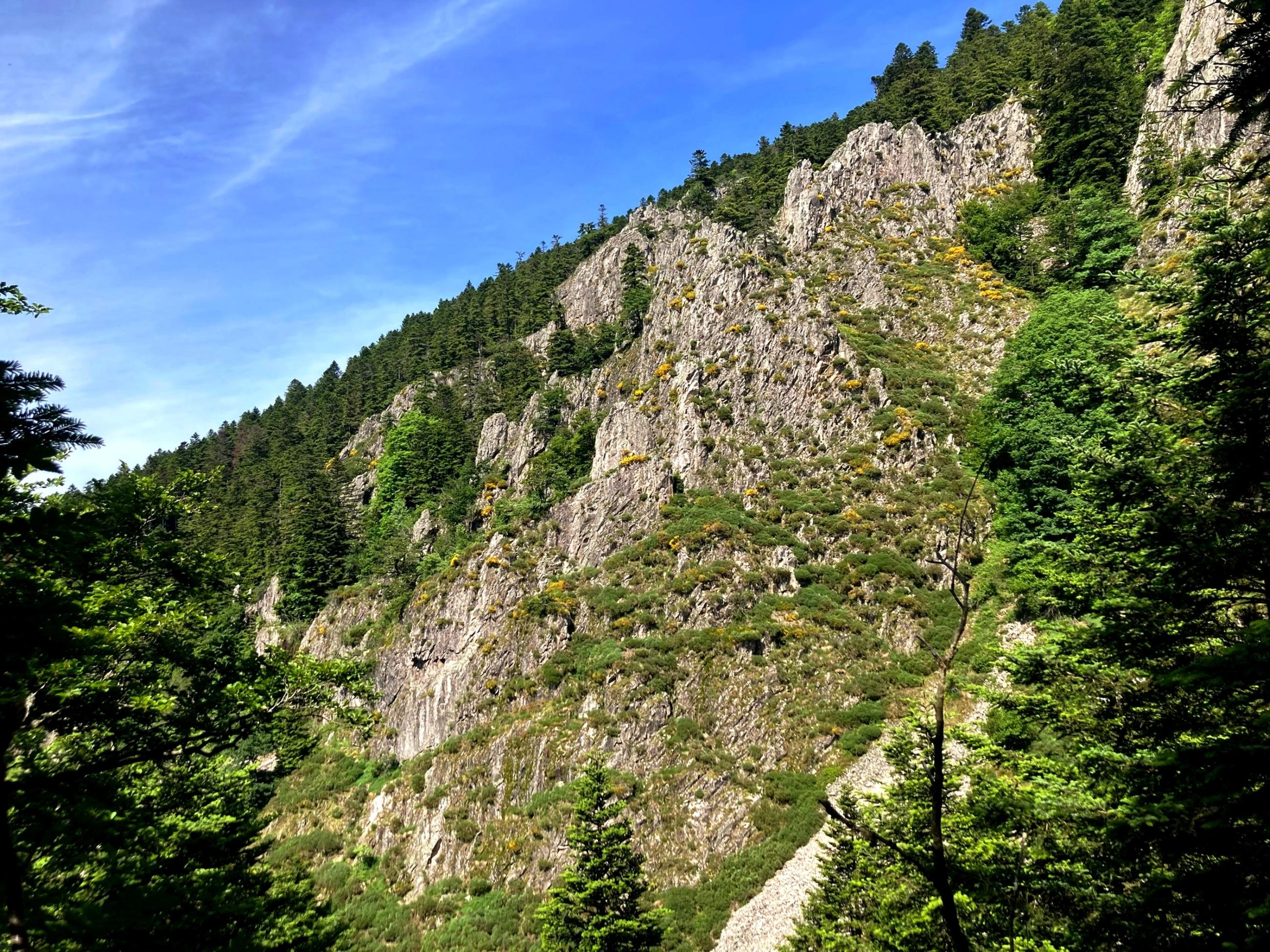 Rocher d'escalade du Saut du Gier