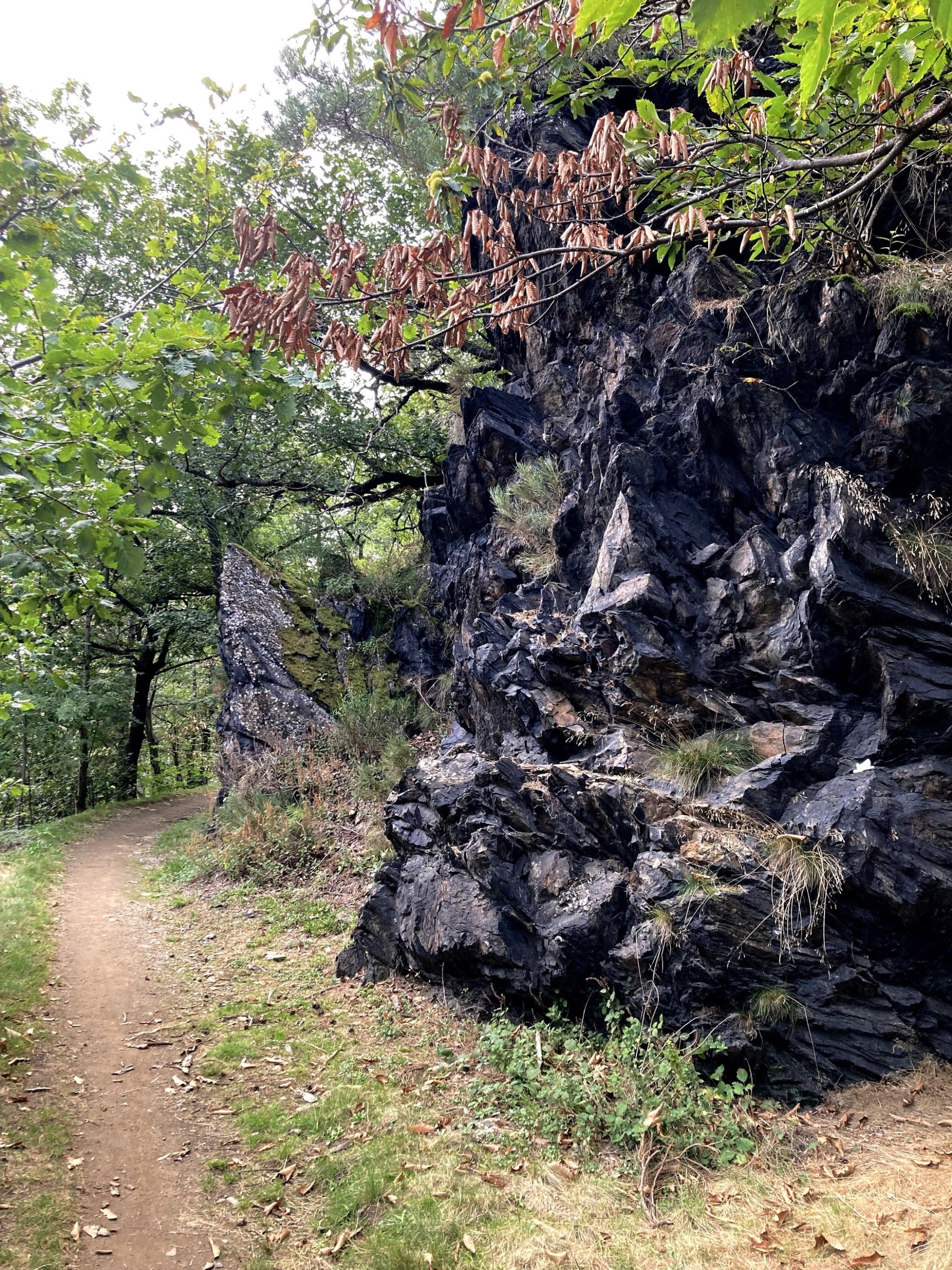 Rocher typique au bord du chemin