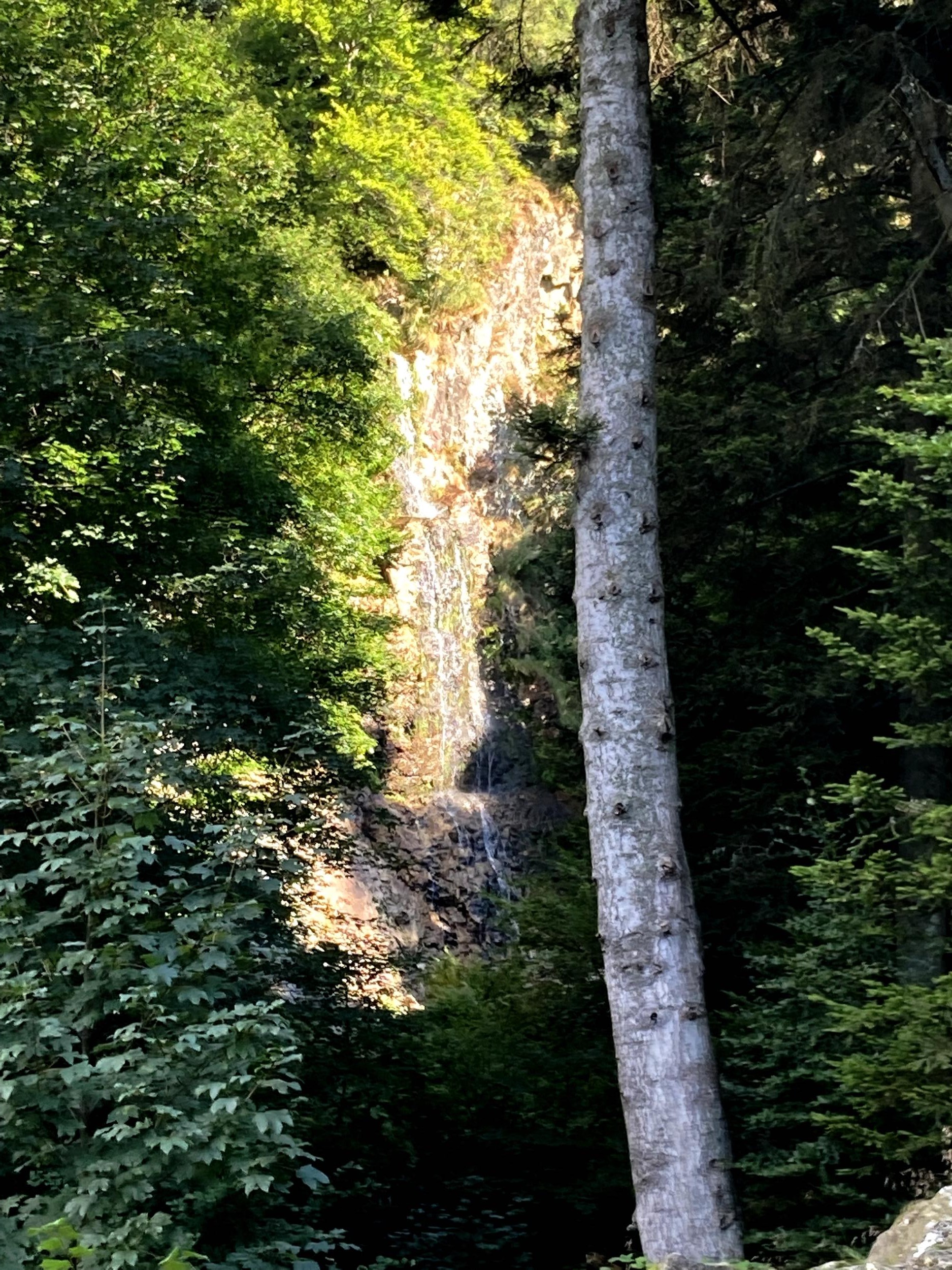 Saut du Gier (vue très partielle)