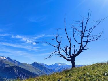 Le sentier des mineurs 