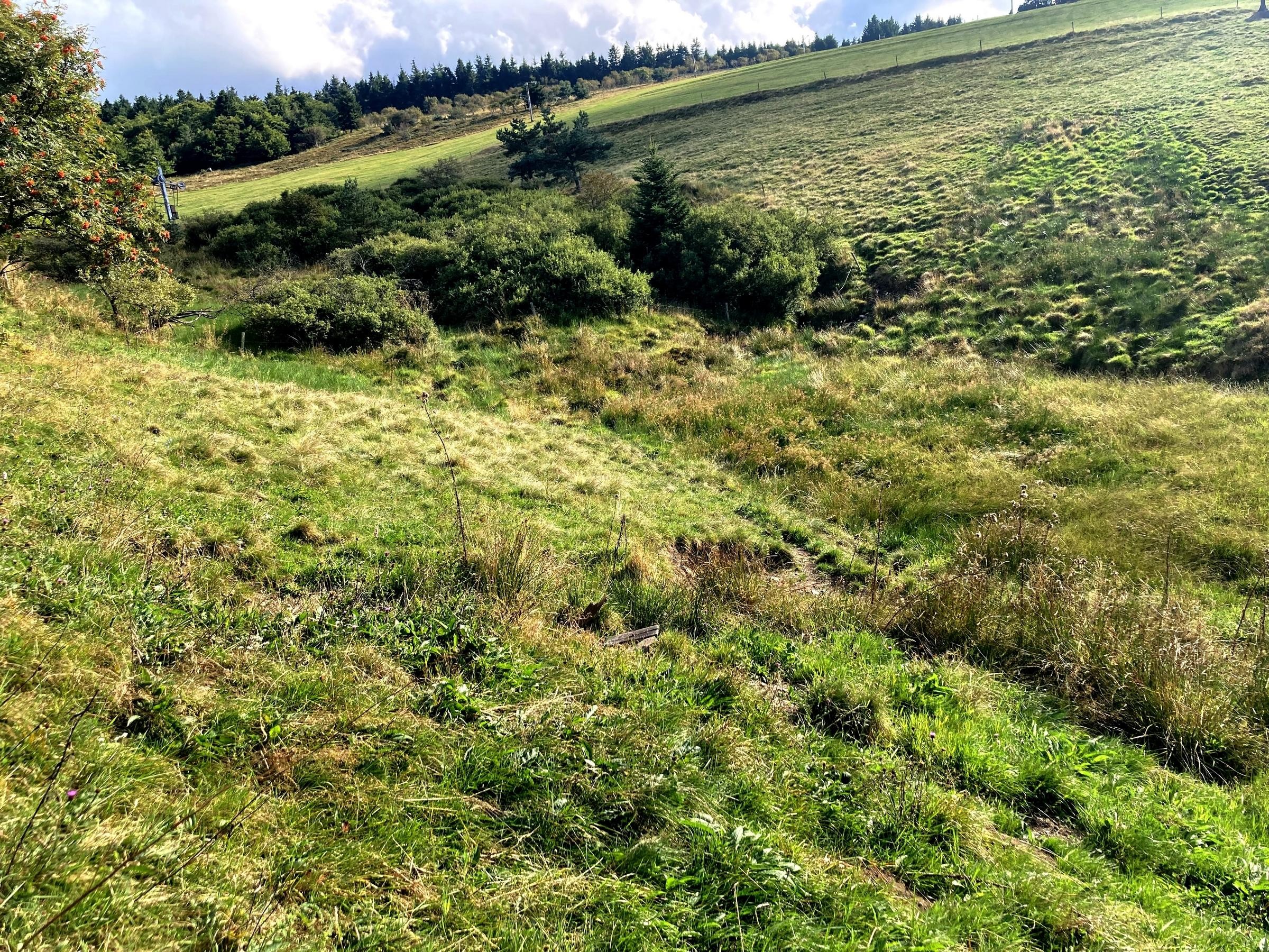 Source du Gier à la Jasserie