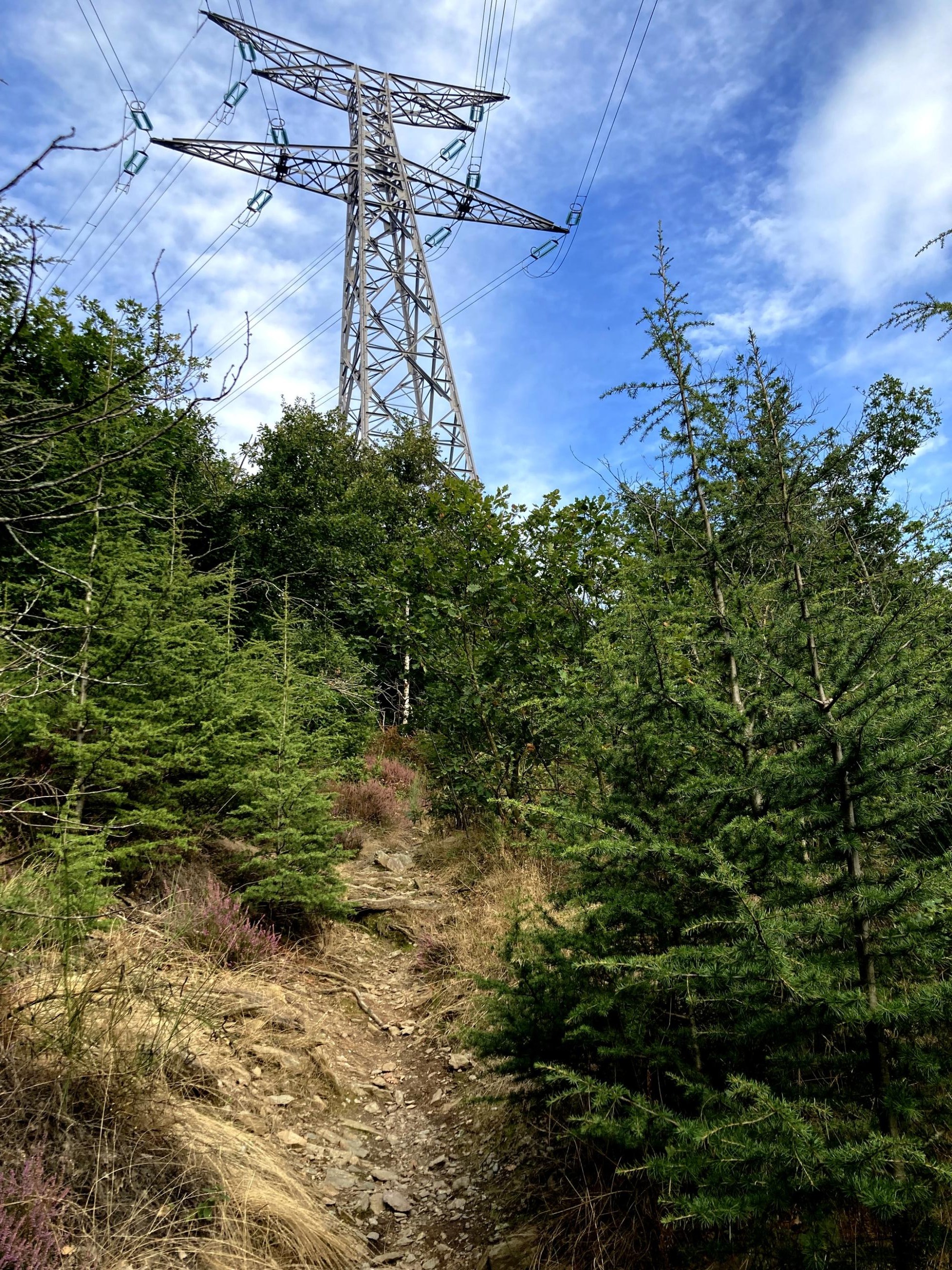 Sur le sentier de remontée