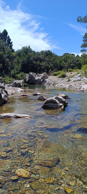 Rando aquatique, gardon de Mialet🤩