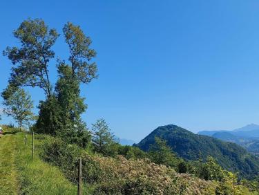 Le tour de Brame-Farine