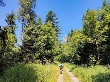 Le tour de Brame-Farine