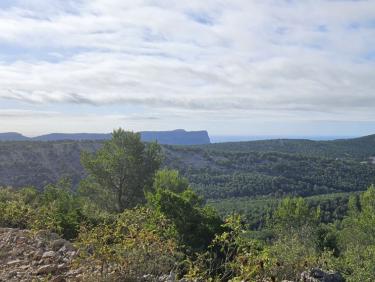 RUN 74: Crete de Carpiagne