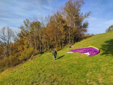 Un automne déprimant 