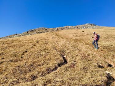 Un automne hors du commun