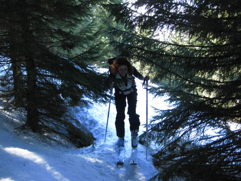 un peu de forêt...