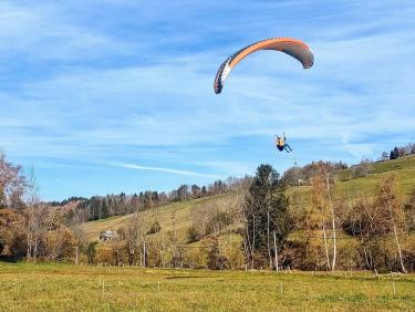 Vagabonde Orionde 