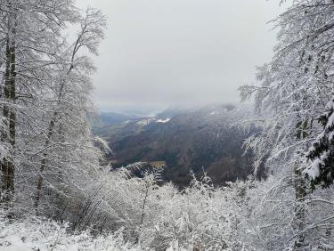 Vent de vallée 