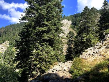 A proximité du Saut du Gier