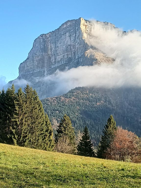 Petite balade au soleil avec Monique