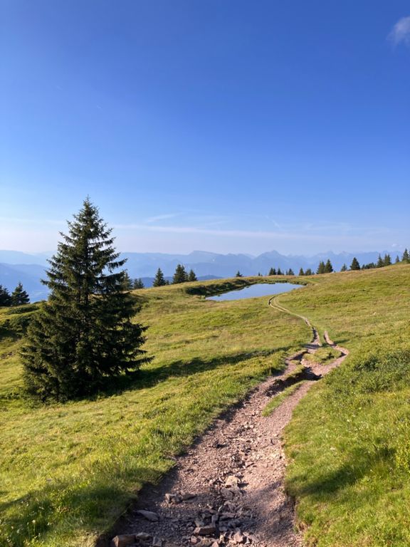 Trail dans l'après-midi