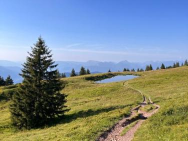 Trail dans l&apos;après-midi