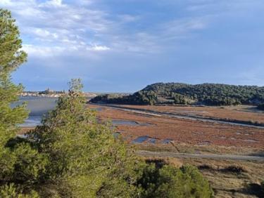 Poli trail. Gruissan